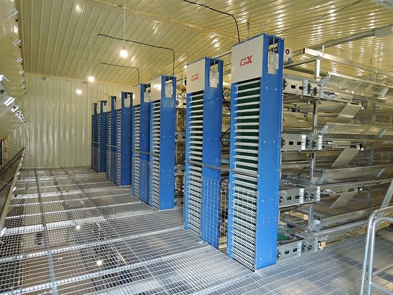 product-800-600 product-800-600