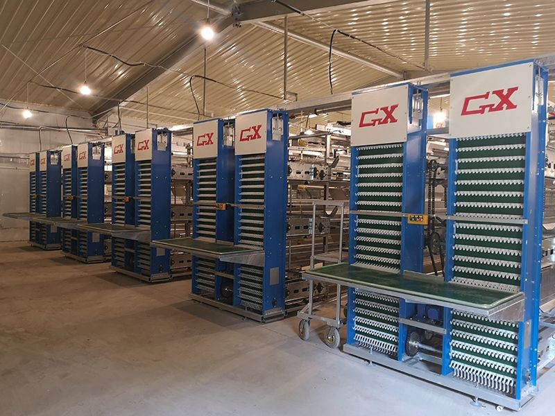 Pullet Cage Feeding System price